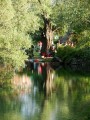 DSC00287